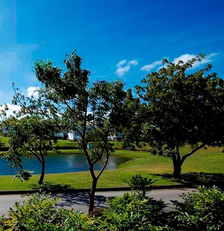 Coconut Grove 1, Luxury Villa By Island Villas Saint James Eksteriør bilde